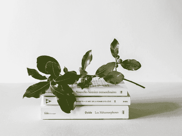 ip攻击器网页版