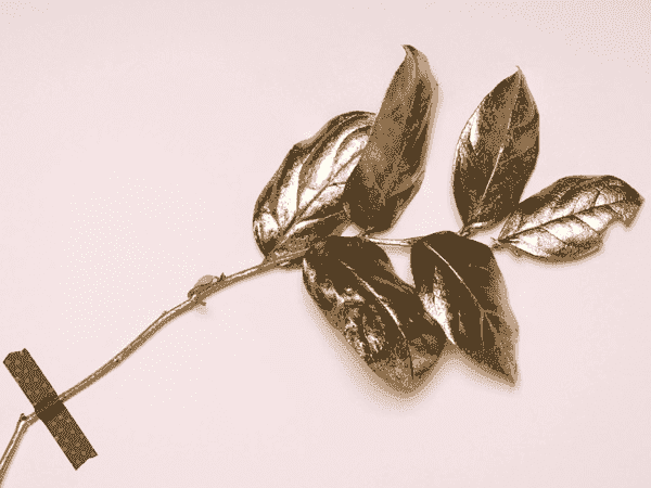 ddos网页在线攻击